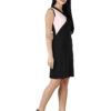 3 Color Block Bodycon Dress D-2 03 Bodycon,
